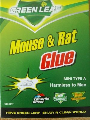 Mous and Rat Glue Trap